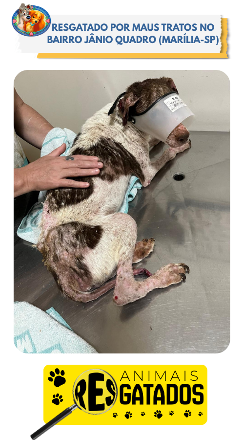 ANIM. RESGATADOS - 05