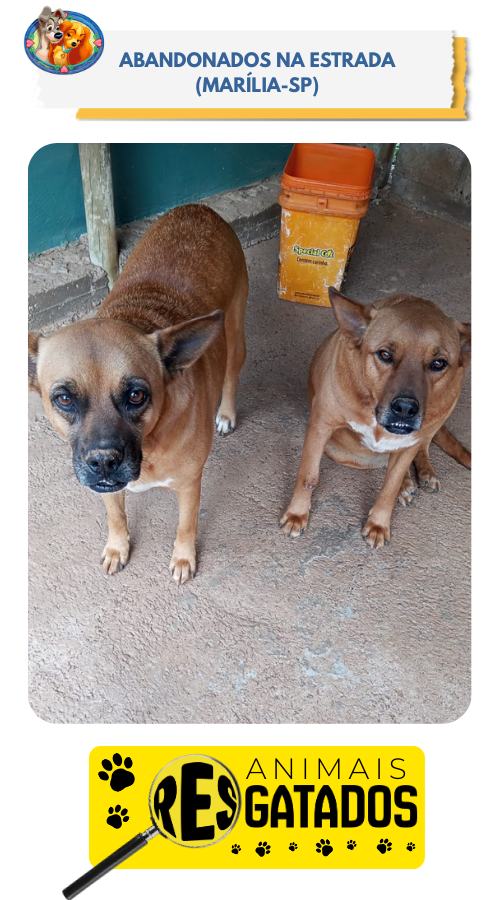 ANIM. RESGATADOS - 10