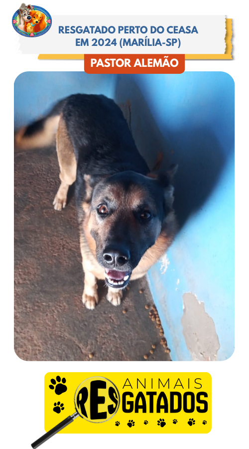 ANIM. RESGATADOS - 12