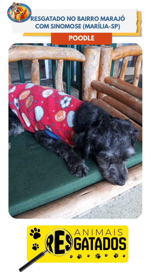 ANIM. RESGATADOS - 13